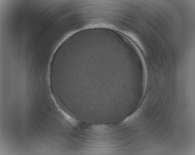 X0000073871046200608101504