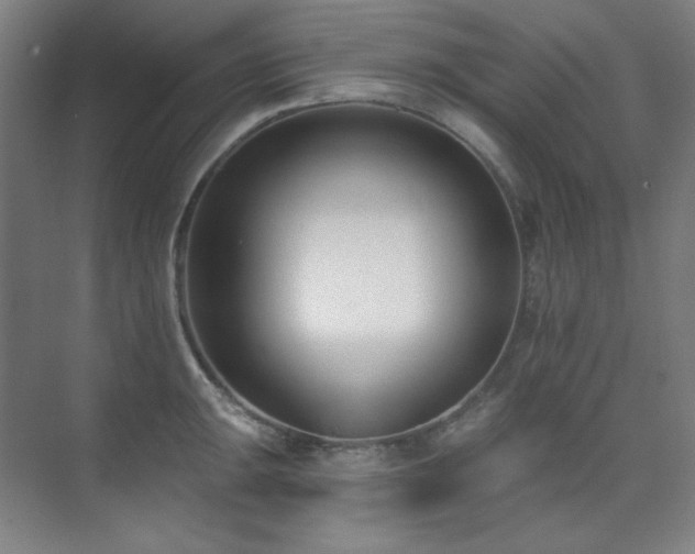 X0000073871047200608101504