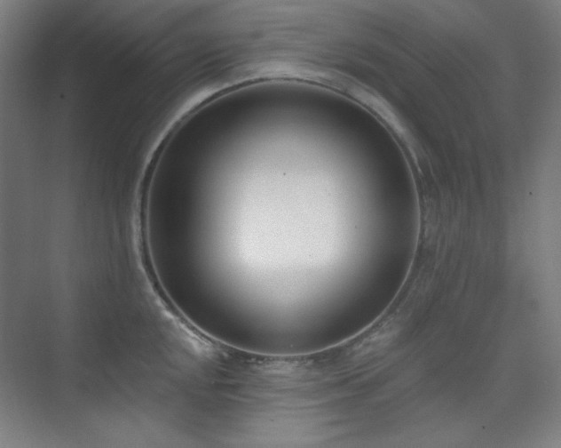 X0000073871048200608101504