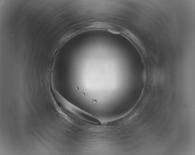 X0000073871049200608101504