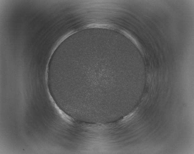 X0000073871050200608101504