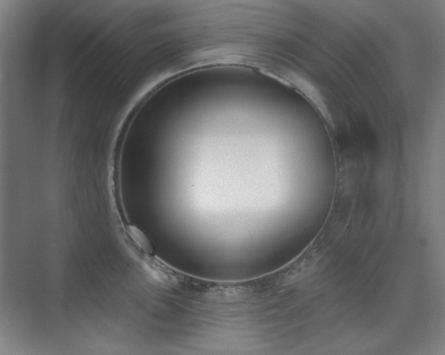 X0000073871051200608101504