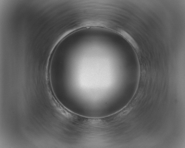 X0000073871052200608101504