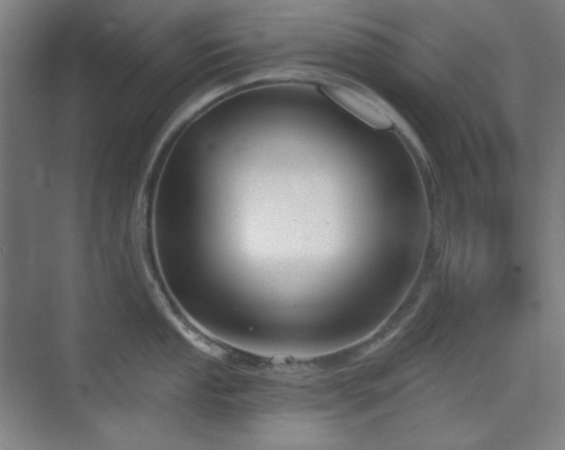 X0000073871053200608101505