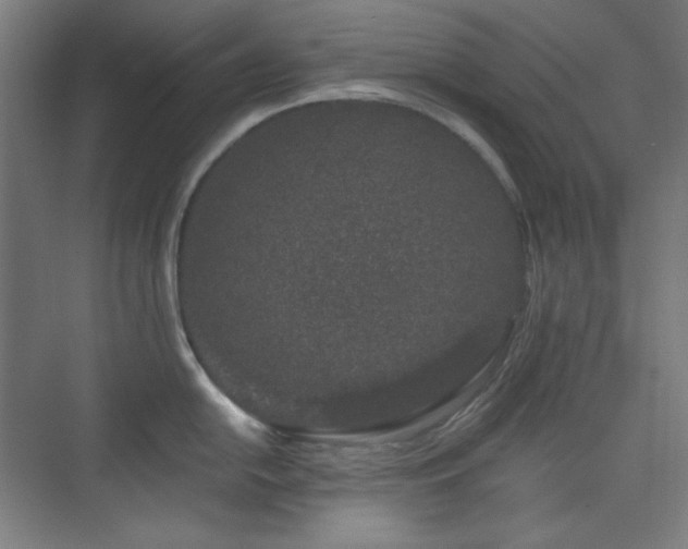 X0000073871054200608101505