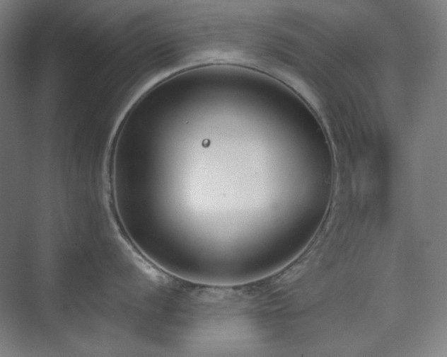 X0000073871056200608101505