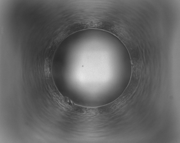 X0000073871058200608101504