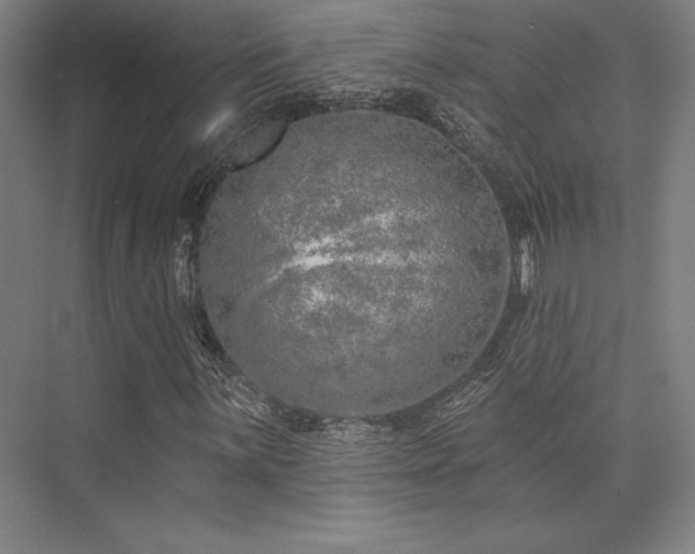 X0000073871059200608101504