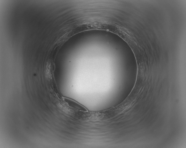 X0000073871060200608101504