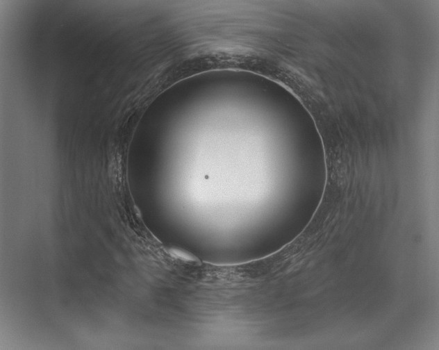 X0000073871061200608101504