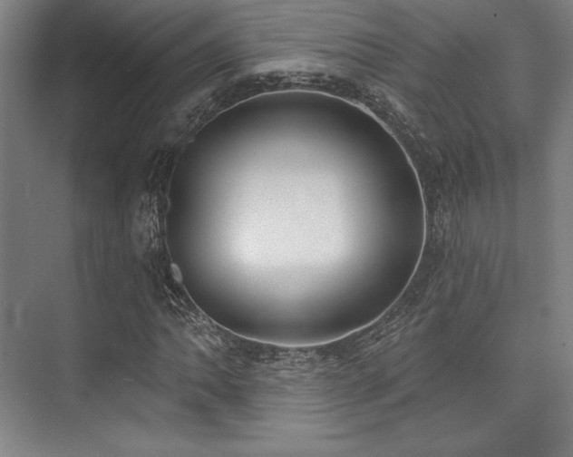 X0000073871062200608101504