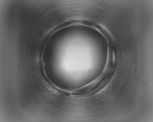 X0000073871065200608101504