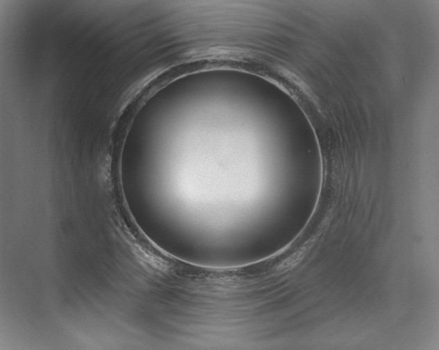 X0000073871066200608101504