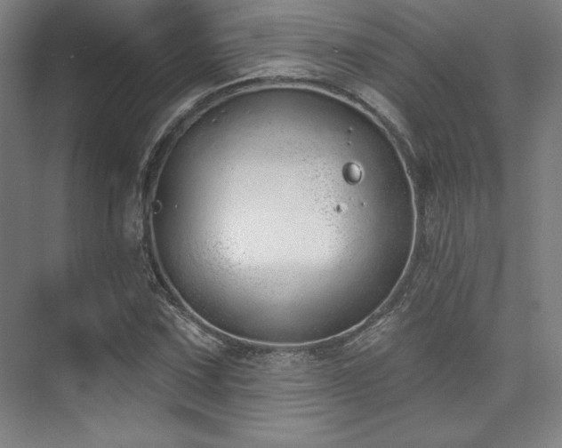 X0000073871067200608101504