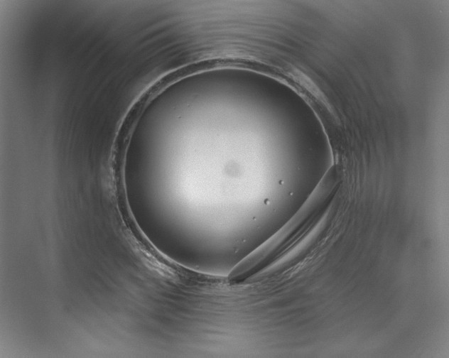 X0000073871068200608101504