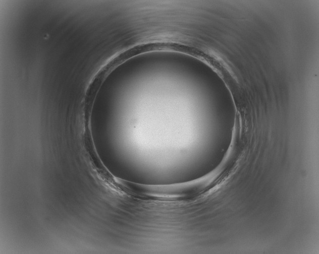 X0000073871069200608101504