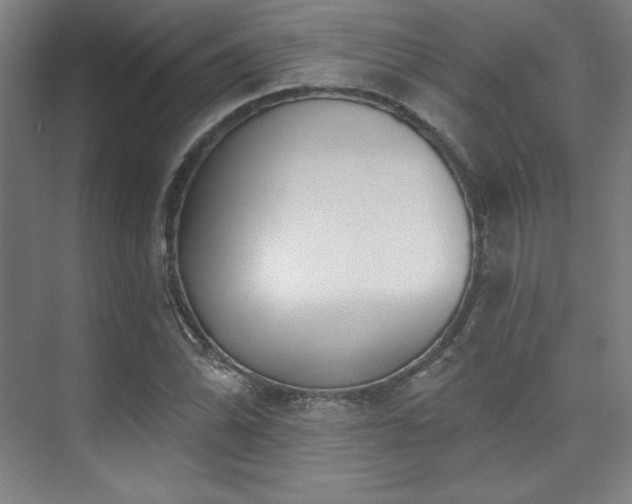 X0000073871070200608101504