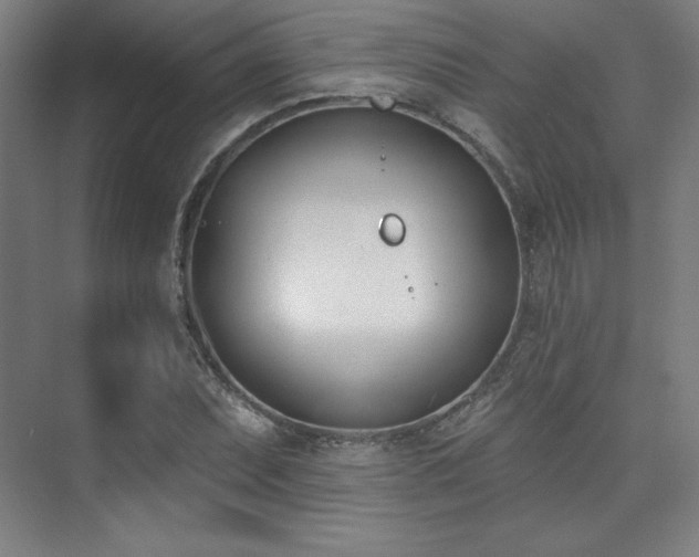 X0000073871071200608101504