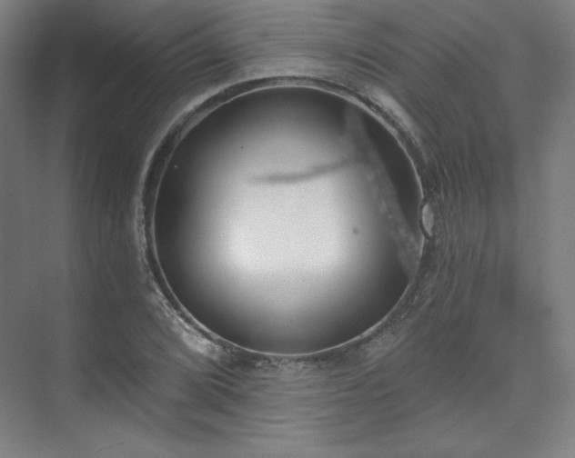 X0000073871072200608101503