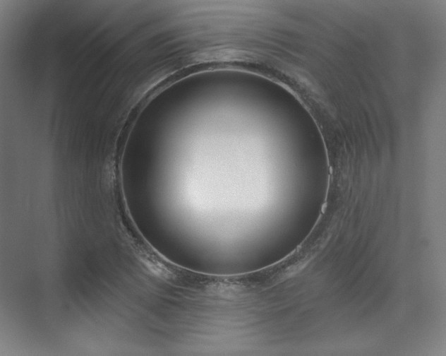 X0000073871073200608101503