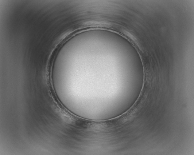 X0000073871074200608101503