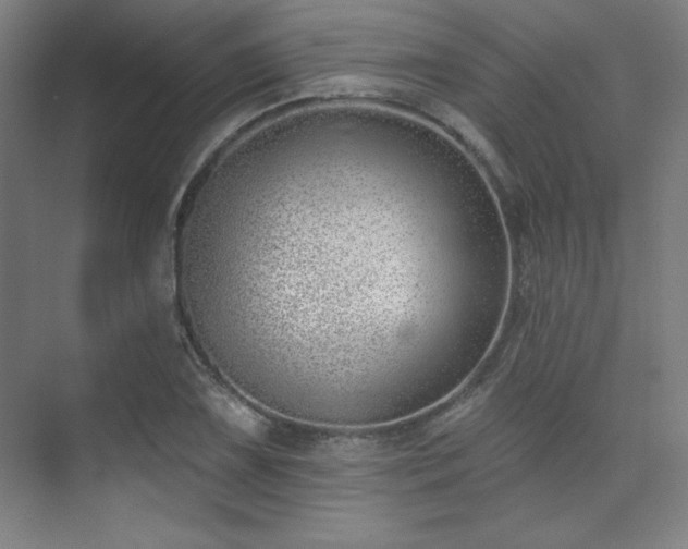 X0000073871075200608101503