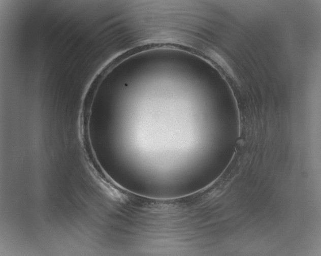 X0000073871076200608101503