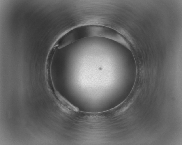 X0000073871077200608101503