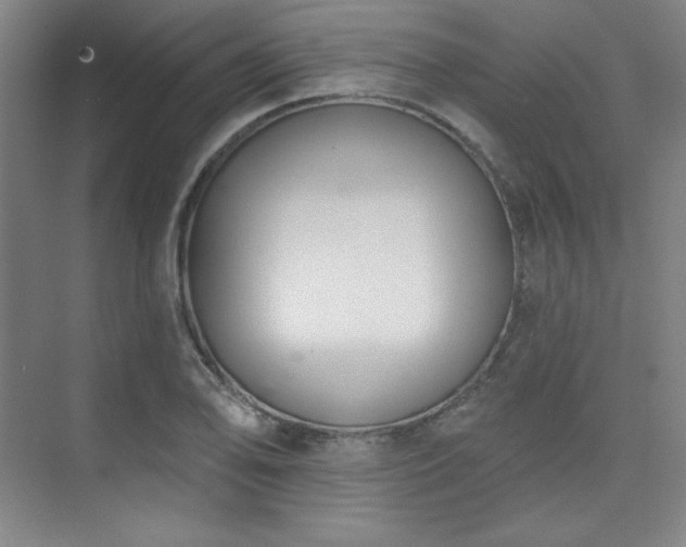 X0000073871078200608101503