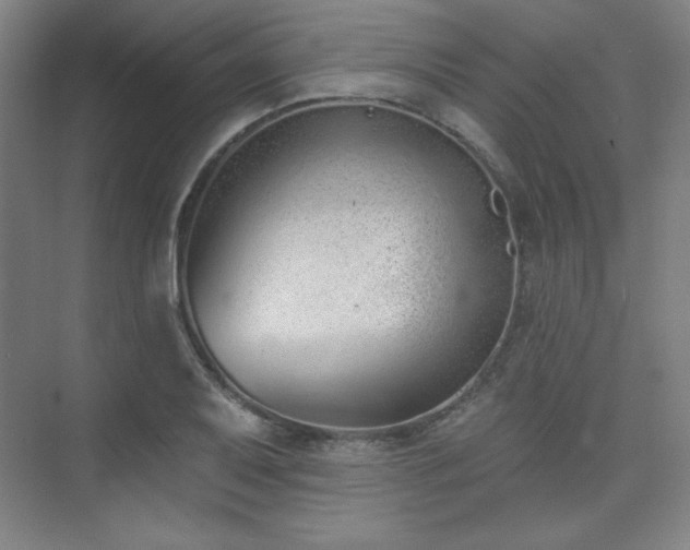 X0000073871079200608101503