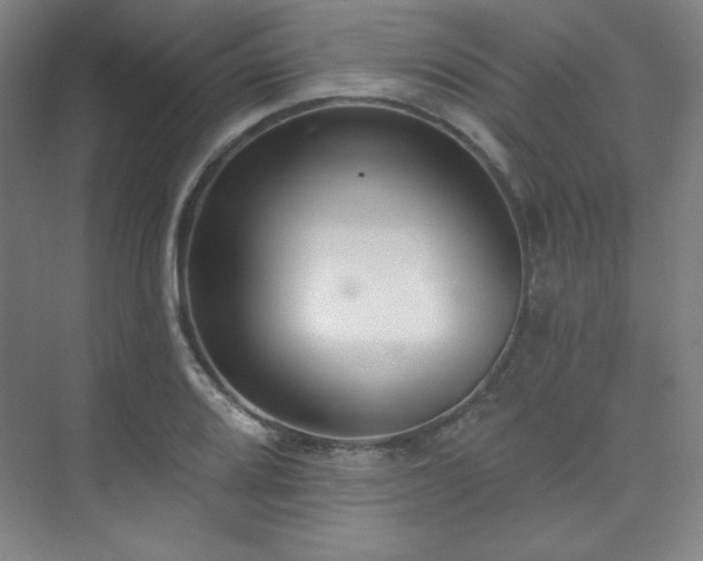 X0000073871080200608101503