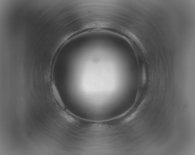 X0000073871081200608101503