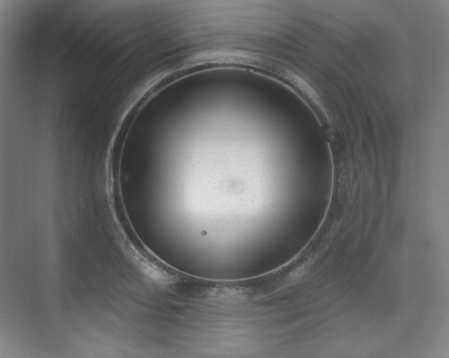 X0000073871082200608101503