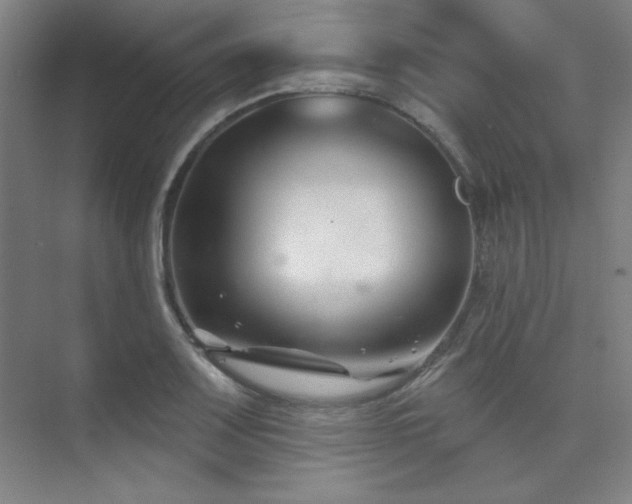 X0000073871083200608101503