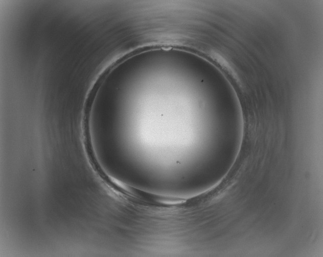 X0000073871085200608101503