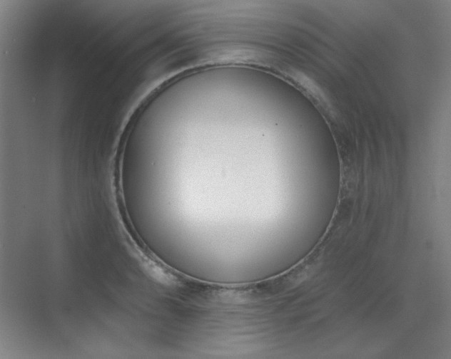 X0000073871086200608101503