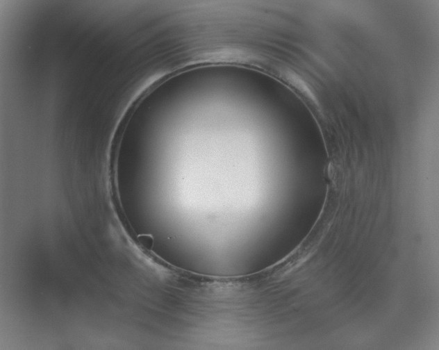 X0000073871087200608101503