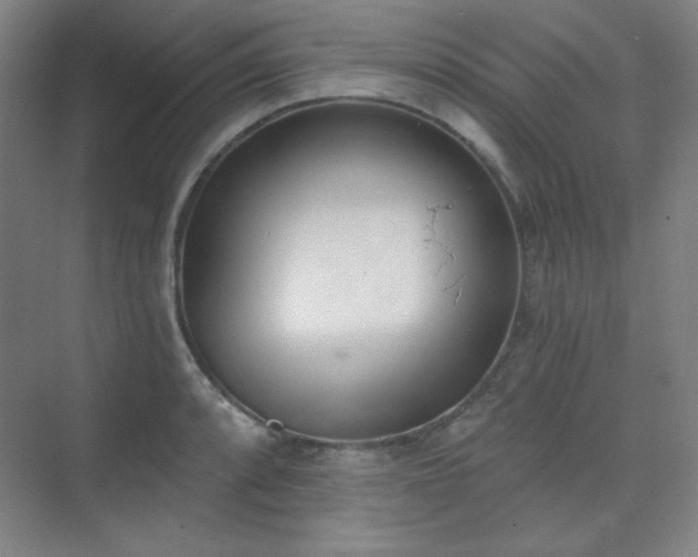 X0000073871088200608101503