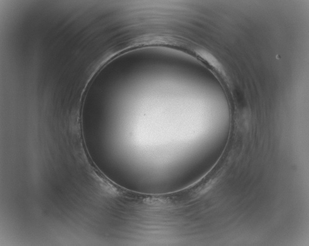 X0000073871089200608101503