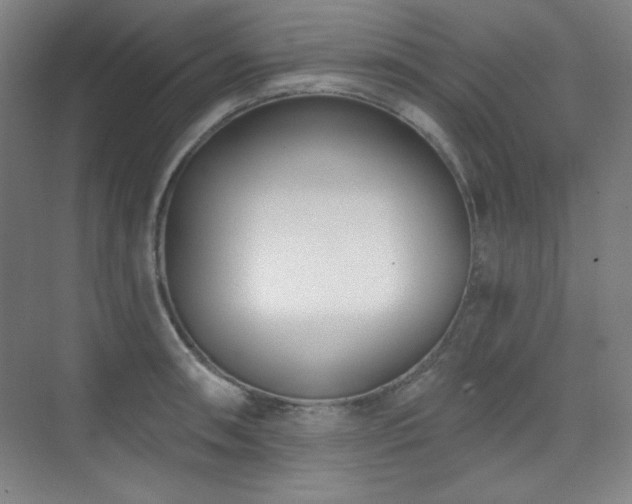 X0000073871090200608101503