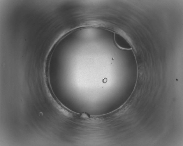 X0000073871091200608101503