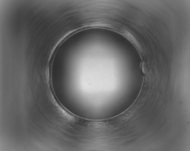 X0000073871092200608101503