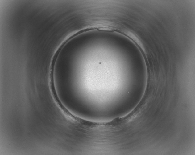 X0000073871093200608101503