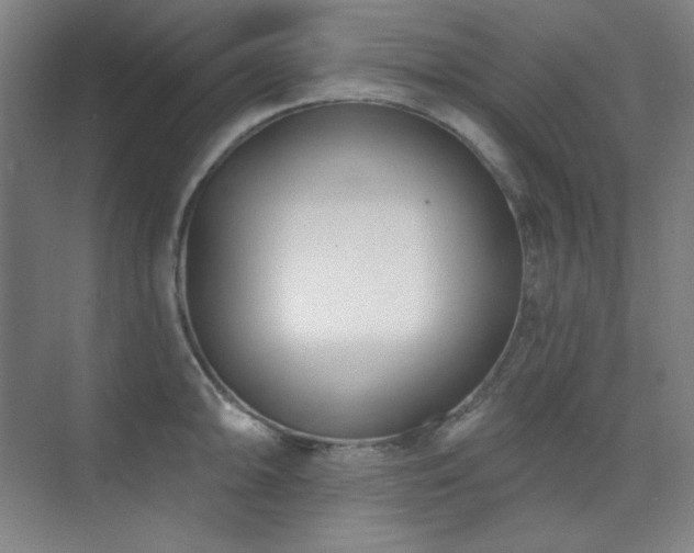 X0000073871094200608101503