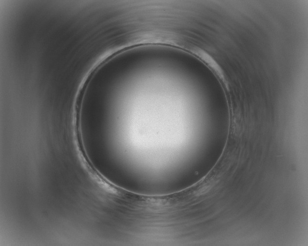 X0000073871096200608101503