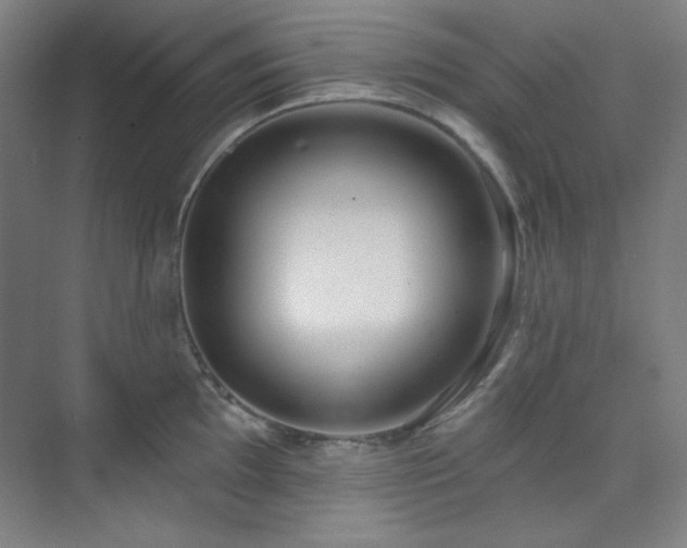 X0000073871097200608101503