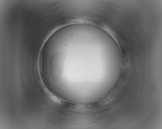 X0000073871098200608101503