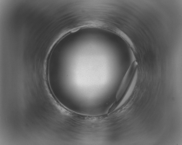 X0000073871099200608101503