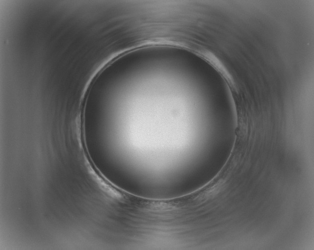 X0000073871100200608101503