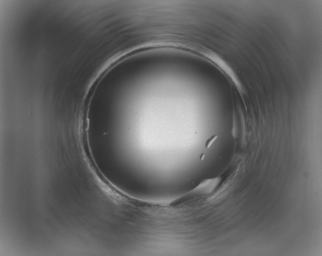 X0000073871101200608101503